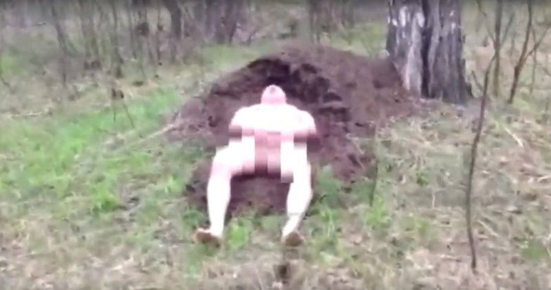 Отважный голый русский мужчина лёг в муравейник (видео не для слабонервных 18+)