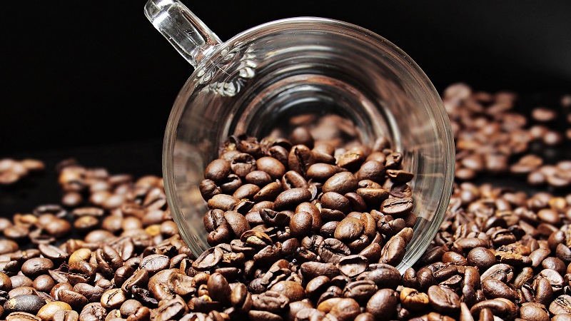 Где купить кофе в зернах в Украине от известных мировых производителей