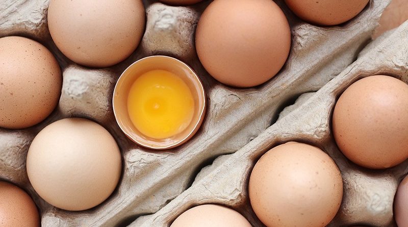Яйца - польза и вред для организма человека